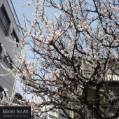 暑っ！！ 画像1