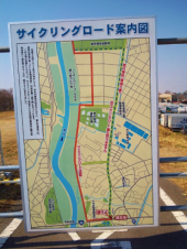 荒サイ 画像3