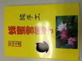 【N】MuayThai x3　→夜会社 画像2