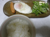 no title 画像1