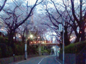 no title 画像1