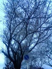 曇り カレー 画像2