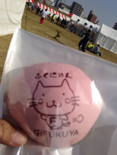 第3回 なにわ淀川ハーフマラソン 2013 画像3