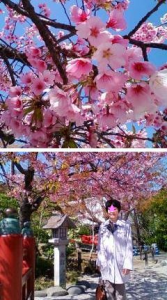 お花見日和☀ 画像2