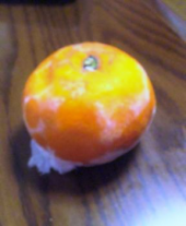 冷凍みかん♪ 画像1