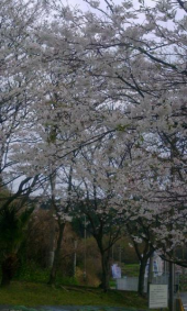 はずれ・・・・ 画像1