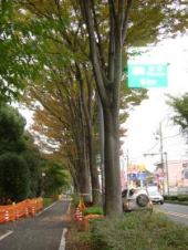 健康記録(01/16晴）  画像2