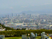 散り始め 画像1