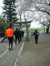 花見ラン。 画像2