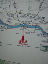 花見ラン。 画像3