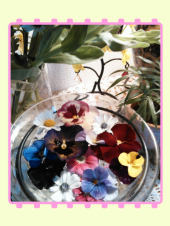 ☆巡り合い・・(pq′▽`*)ぅふっ♪ぅふっ♪ 画像1