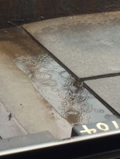 人間だもの 画像2