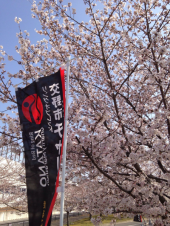 走行会(3/30) 画像3
