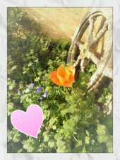 ☆春爛漫(#^_^#) 画像2