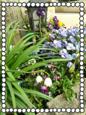 ☆春爛漫(#^_^#) 画像3