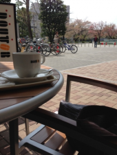 今日も休みかい(⌒-⌒; ) 画像1
