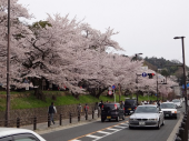 いざ山科へ 画像1