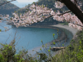 山口県周防大島２