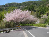 山口県周防大島２ 画像2