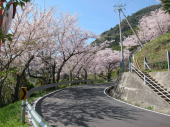 山口県周防大島２ 画像3