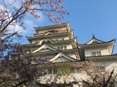 金曜日 画像1