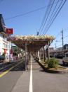晴れ晴れ