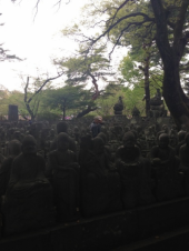 まったり日曜日 画像3