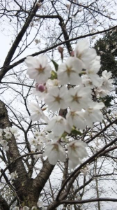 我ながら・・・・ 画像3