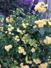 天気はイマイチだけど 画像1