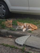 父親ってやつは 画像3