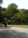三渓園