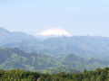 高尾山～城山～景信山　往復♪