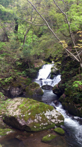 自転車で安徳の里 姫路公園↵ くもり 画像1
