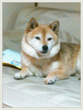 ☆マヂりんこで、マヂすかまじーろ！ 画像1