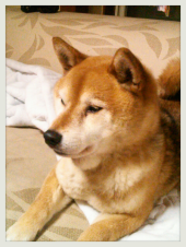 ☆マヂりんこで、マヂすかまじーろ！ 画像2