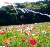 子供の日。（☀） 画像2