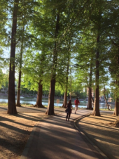 連休終わり 画像1