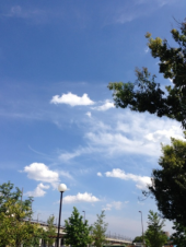 いいお天気！ 画像1