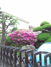 ☆母の日なんて、、、☆ 画像1
