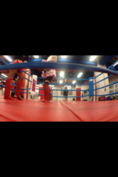 【N】MuayThai x3 画像3