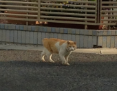 増量…(O_O) 画像1