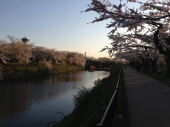 夜ラン 画像1