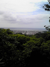 天園ハイキング 画像2