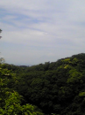 天園ハイキング