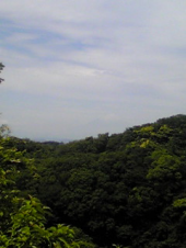 天園ハイキング 画像3