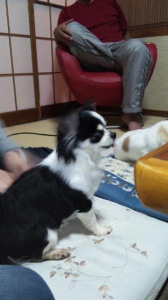 酒癖。 画像2