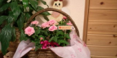 プレゼント 画像1