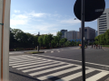 奇跡のリンゴ♪