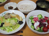 タコ 画像2
