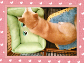 ☆毎晩美白パックだどー♪ 画像3